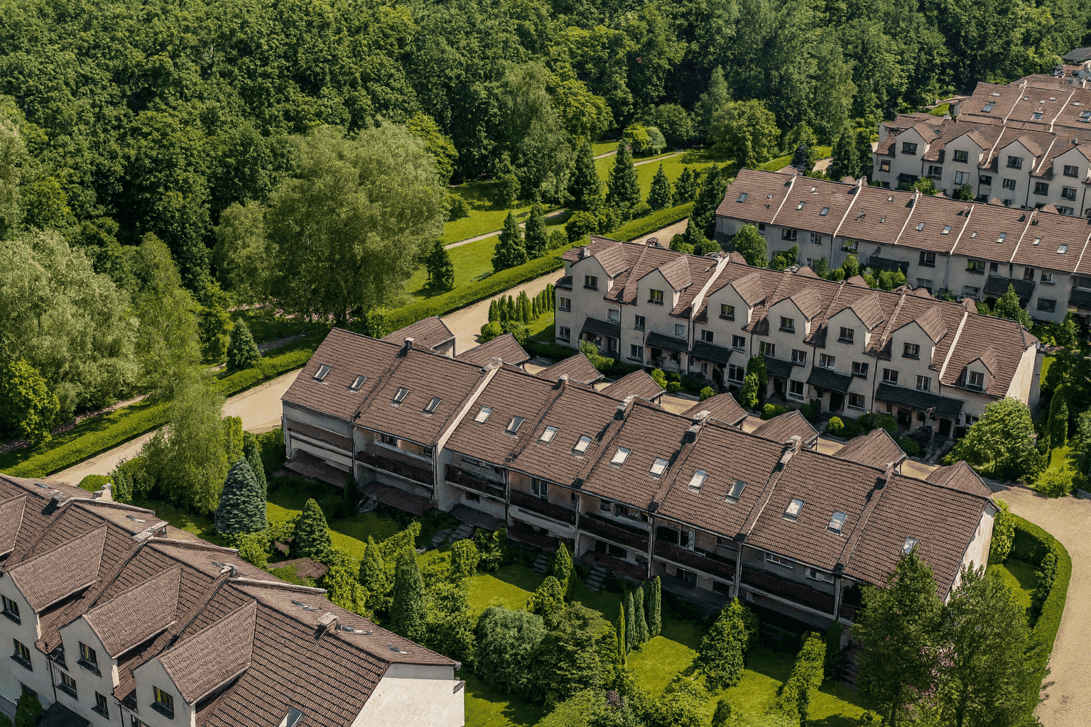 Nowa Dębina - Segmenty